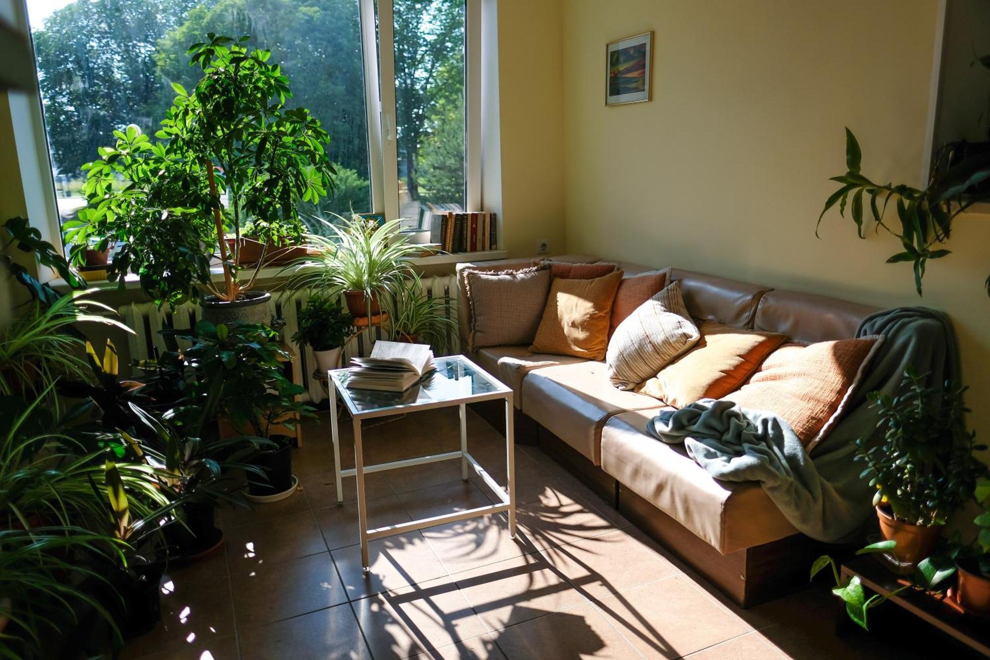 Hostel Nele Jõhvi Εξωτερικό φωτογραφία